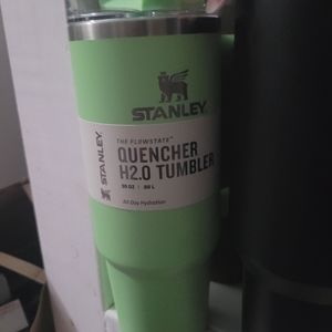 Standley feather green target tumbler